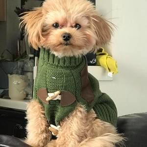 Meet your Posher, Beth